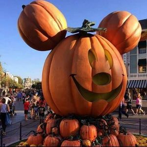 Meet your Posher, Coraly